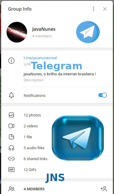 JavaNunes no TELEGRAM, grupo